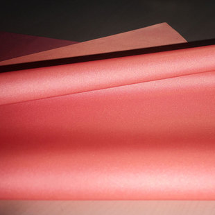 柔软涤丝纺橘色时博（中国）布